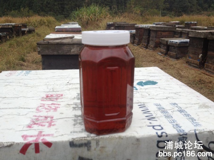 土蜂蜜60元一斤