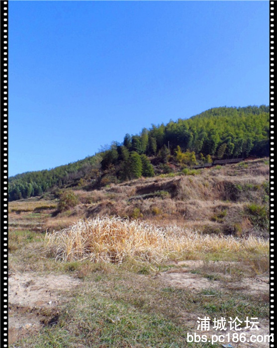 SAM_0439.jpg