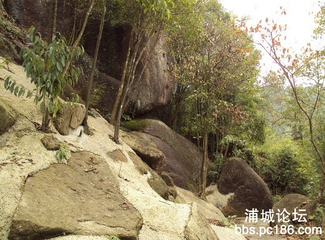 QQ图片20130818150553.jpg