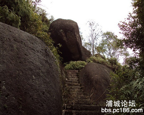 QQ图片20130818150640.jpg