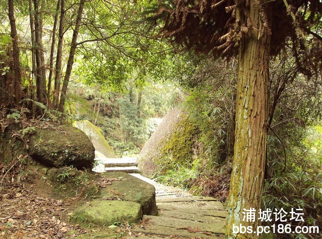 QQ图片20130818150938.jpg