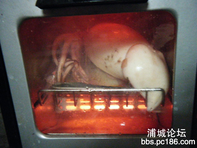 照片 120.jpg