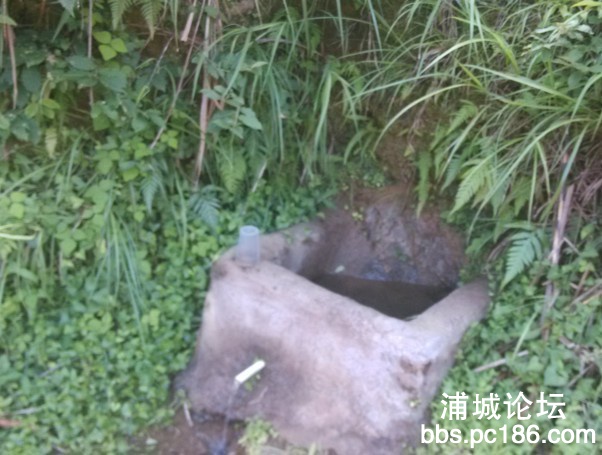 QQ图片20130825125212.jpg