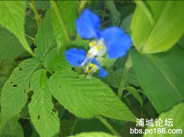 QQ截图20130825130506.png