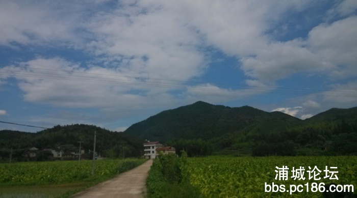 QQ图片20130825130204.jpg