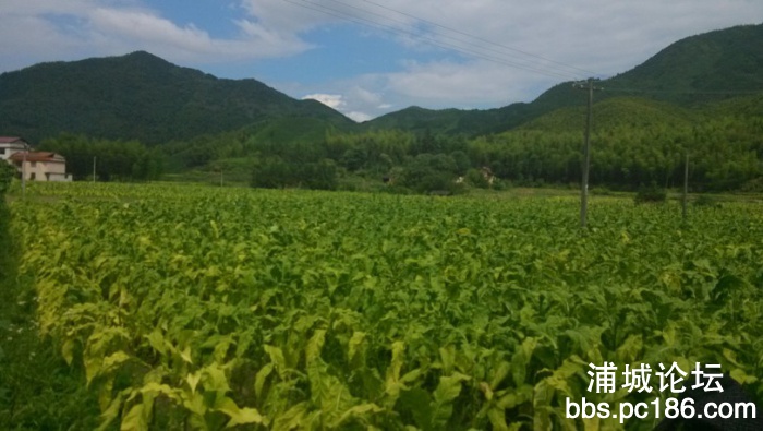 QQ图片20130825130222.jpg
