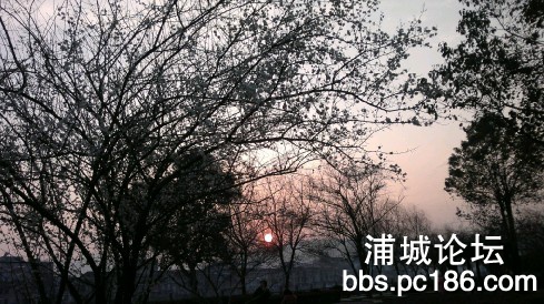 01.jpg