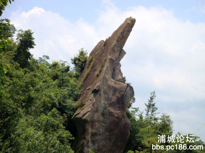 仙人指路