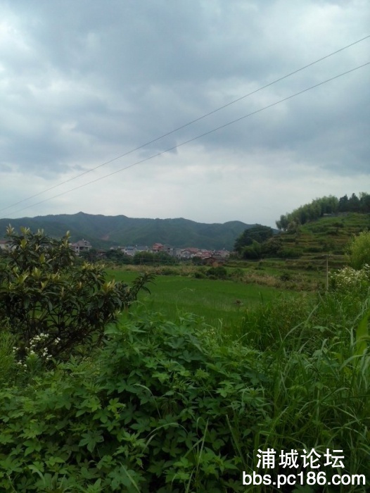 那山