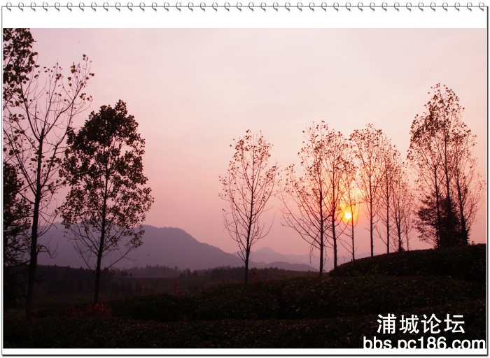 IMGP2877-2.jpg