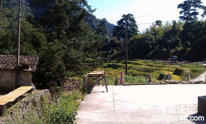 IMAG0513.jpg