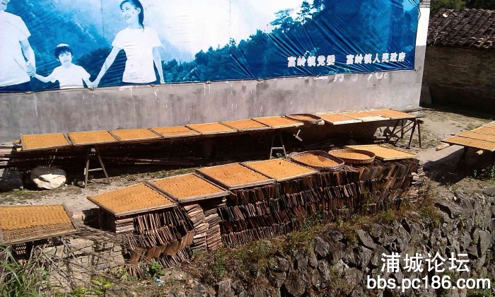 IMAG0514.jpg