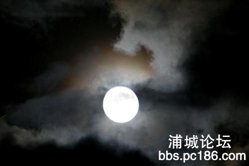 中秋月-3.jpg