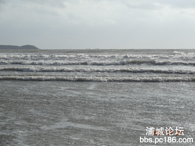 DSC01657.JPG