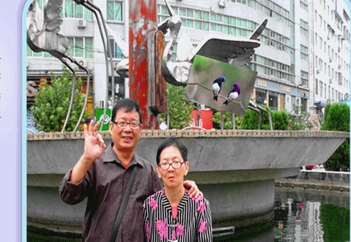 w7_8989833.gif