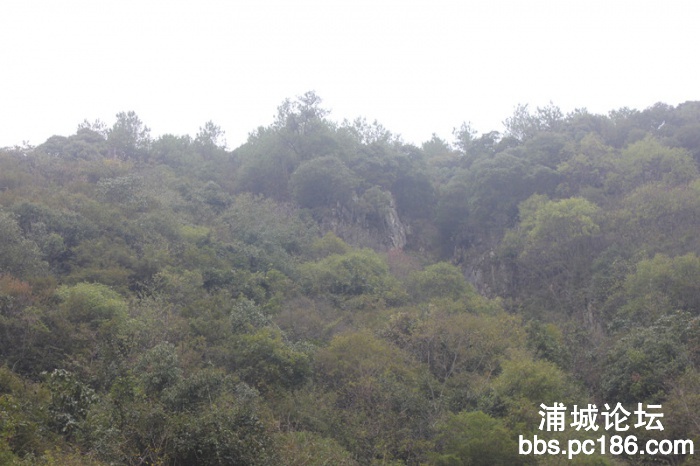 IMG_1677_副本.jpg