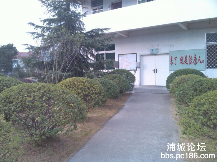 IMG_20131101_161621.jpg