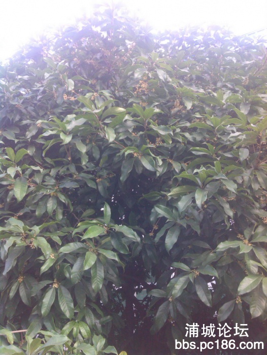IMG_20131009_162017.jpg