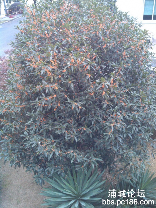 IMG_20131101_155222.jpg