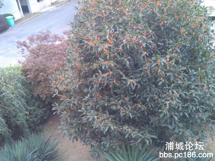 IMG_20131101_155238.jpg