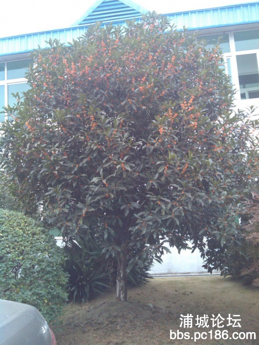 IMG_20131101_155542.jpg