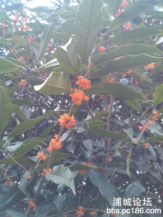 IMG_20131101_155613.jpg