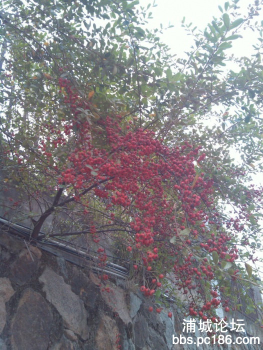 IMG_20131101_155728.jpg
