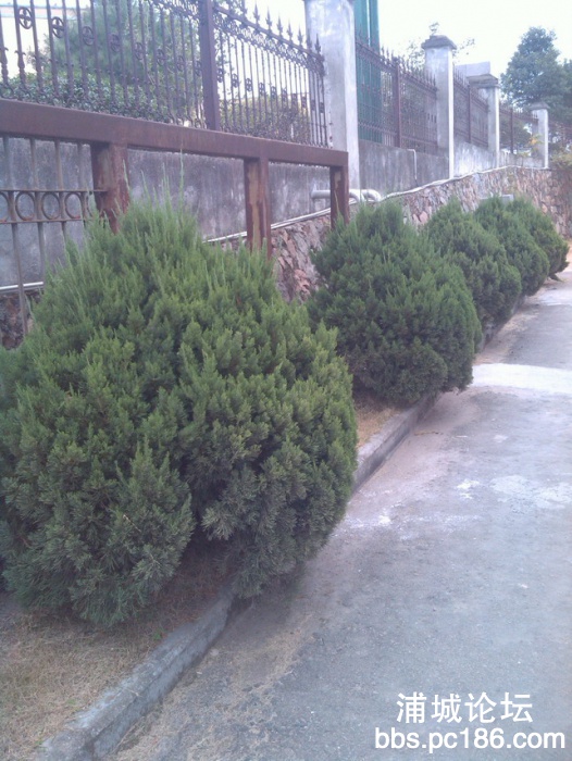 IMG_20131101_155806.jpg