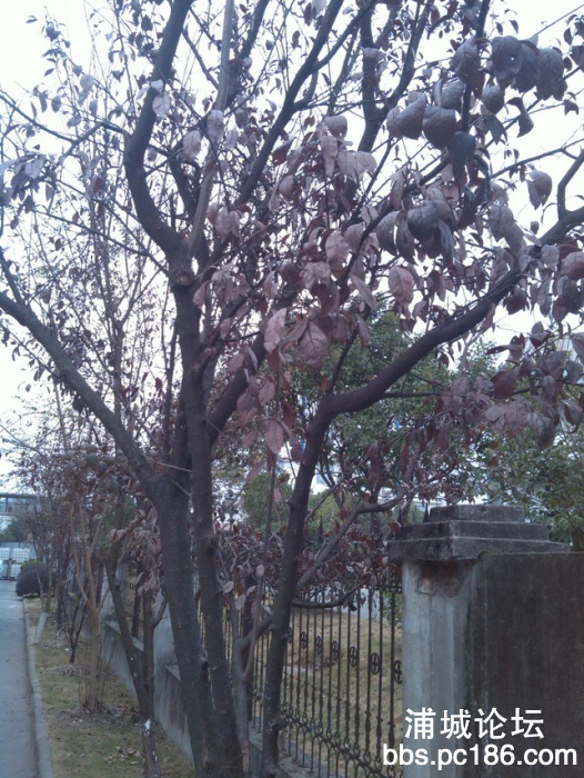 IMG_20131101_155835.jpg