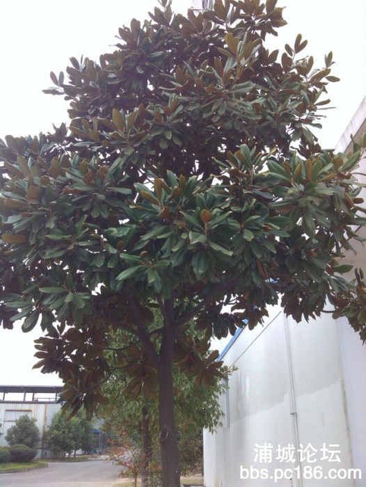 IMG_20131101_160029.jpg