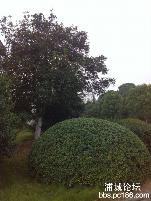 IMG_20131101_160340.jpg