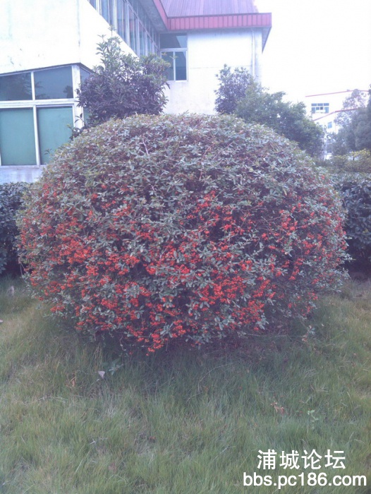IMG_20131101_160456.jpg