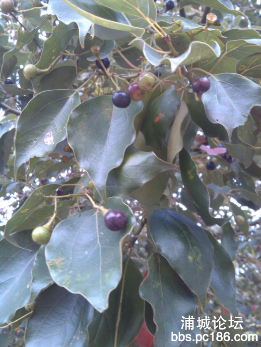 IMG_20131101_160705.jpg