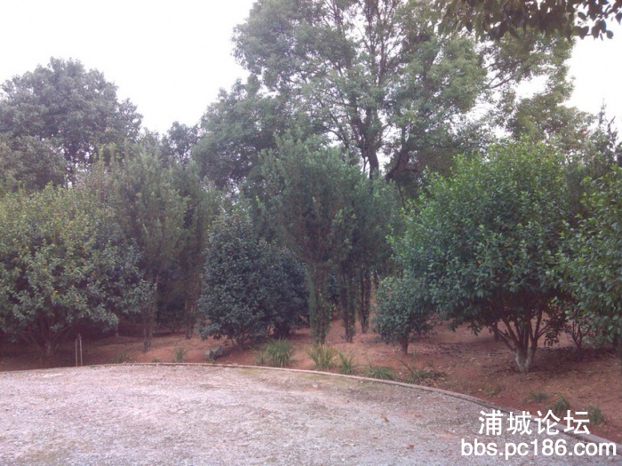 IMG_20131101_160854.jpg