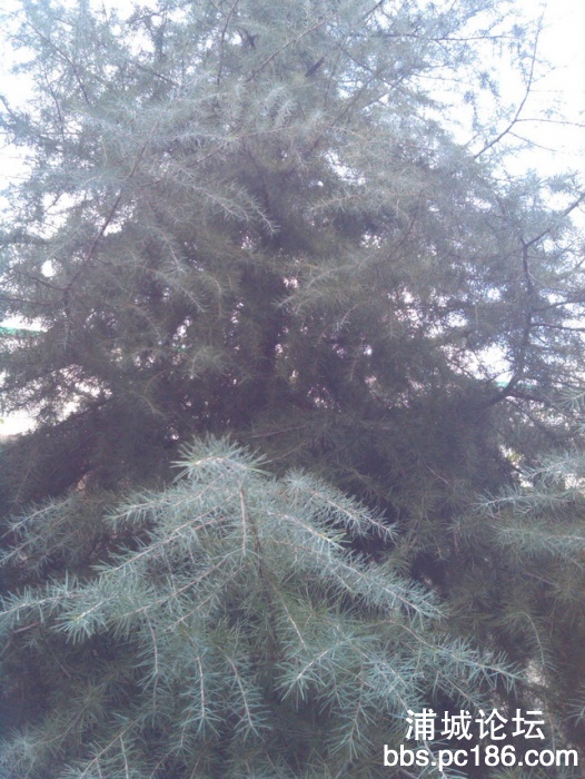 IMG_20131101_161106.jpg