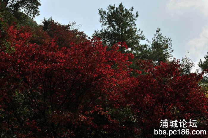 212707kle5jj253e32565w.jpg