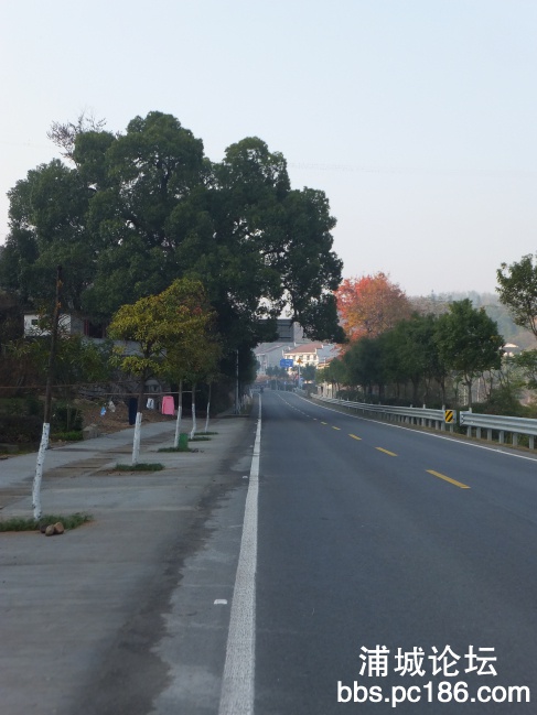 DSCF9994.jpg