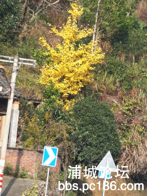 DSCF0035.jpg