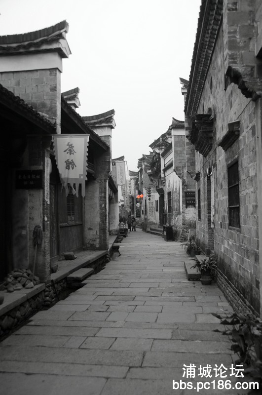 DSC_8953.jpg1.jpg