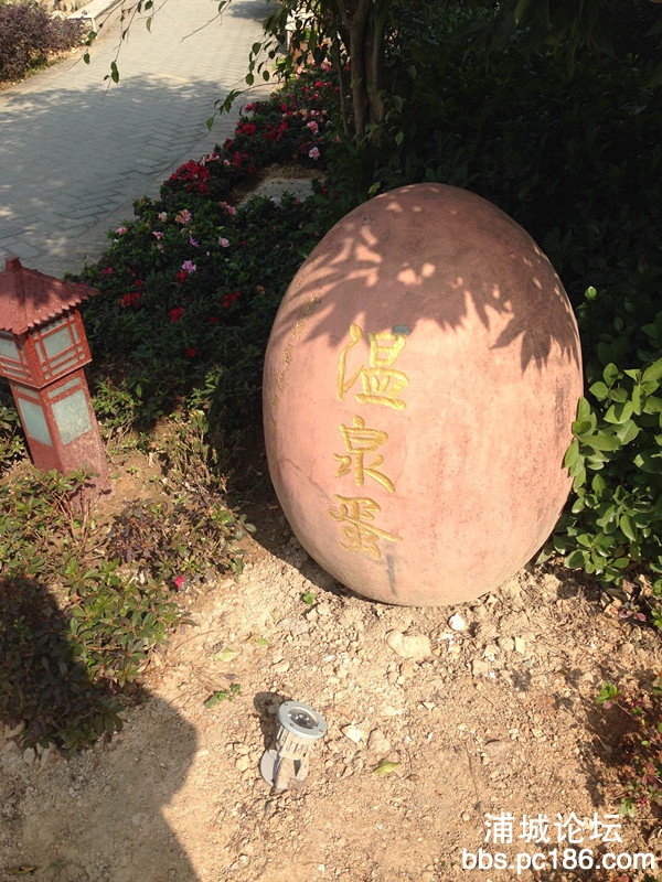 IMG_2887_副本.jpg
