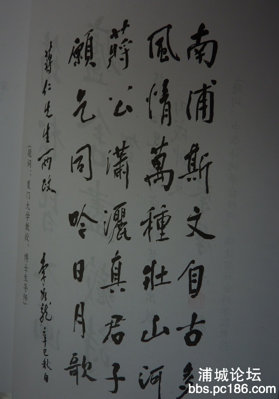 P1020155.JPG