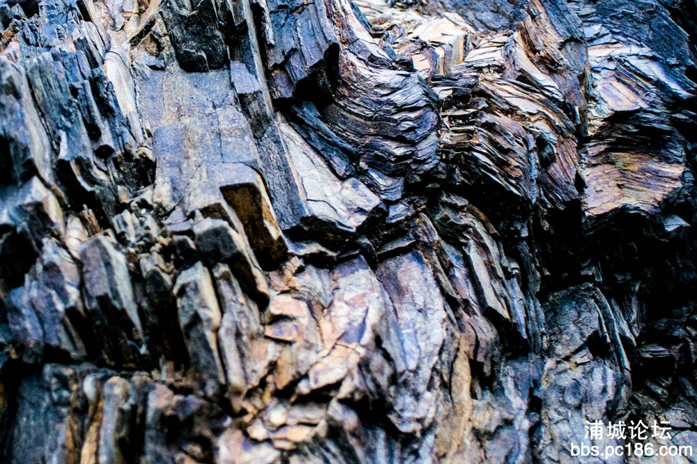 DSC_8925.jpg