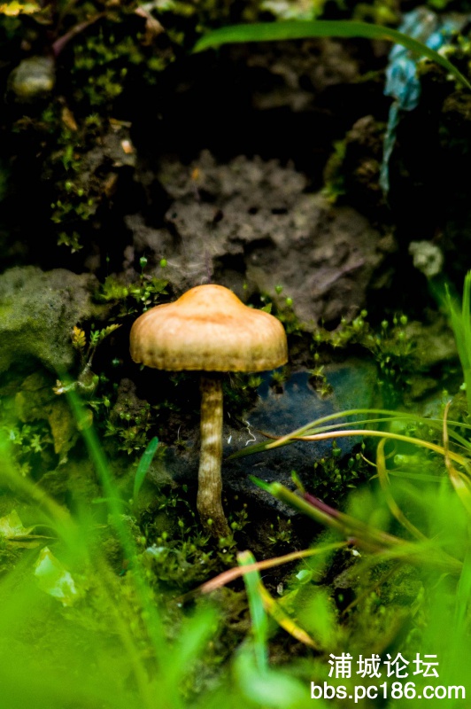 DSC_9031.jpg