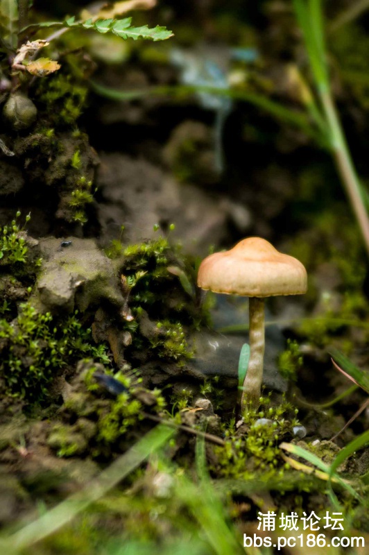 DSC_9042.jpg