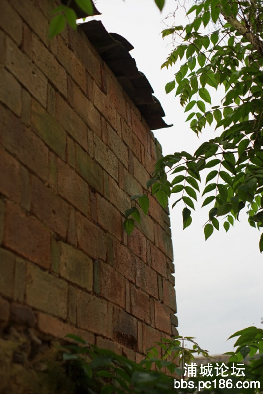 DSC01885.jpg