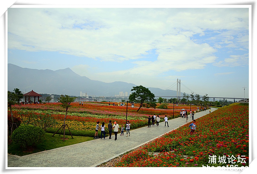 DSC_0640_副本.jpg