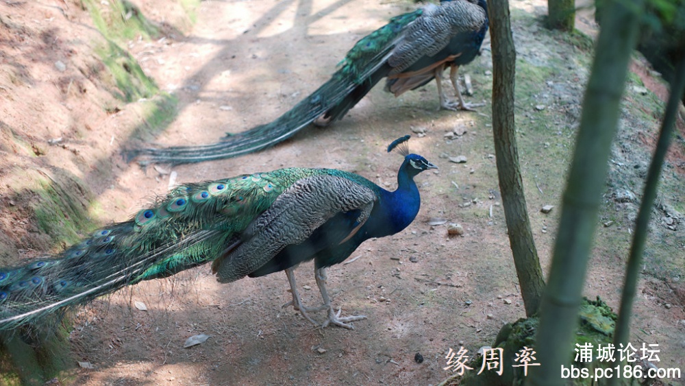 DSC03140.jpg