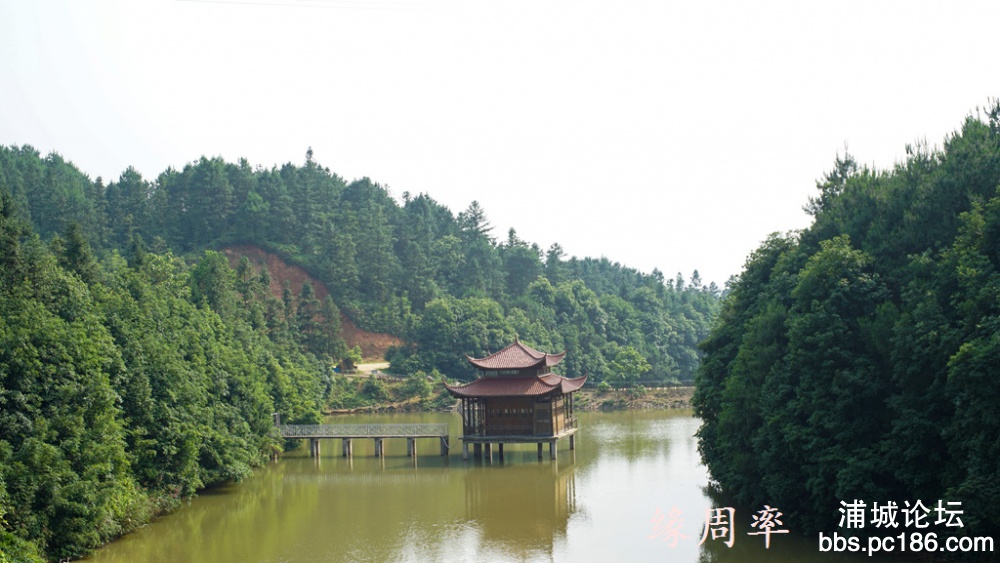 DSC03158.jpg