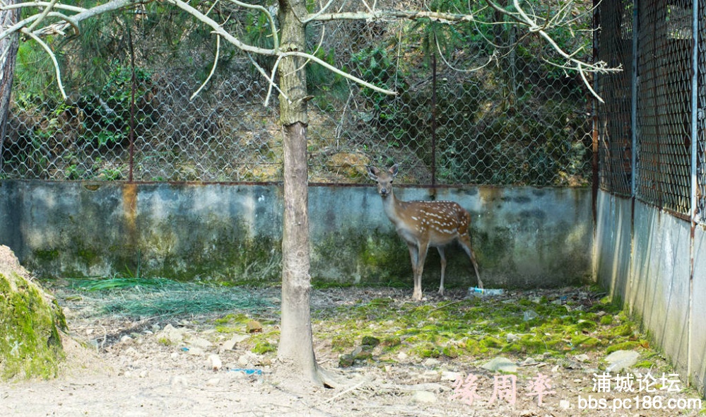 DSC03160.jpg