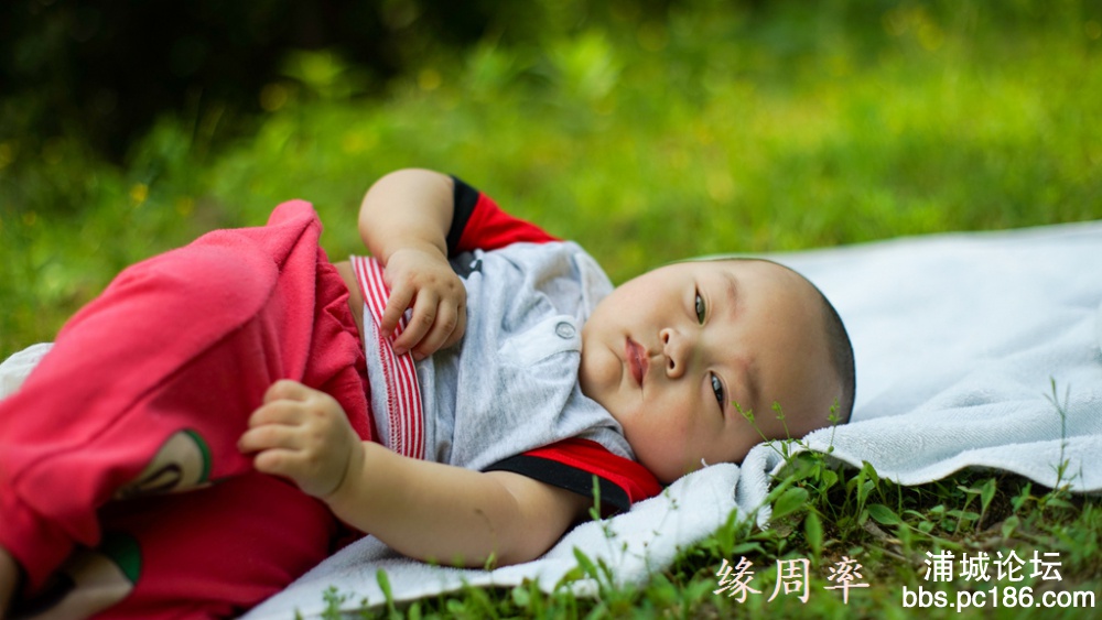 DSC03155.jpg